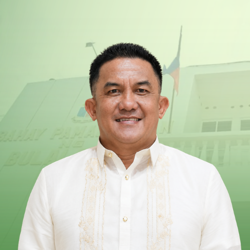 HON. GUILLERMO G. SALAS, JR.